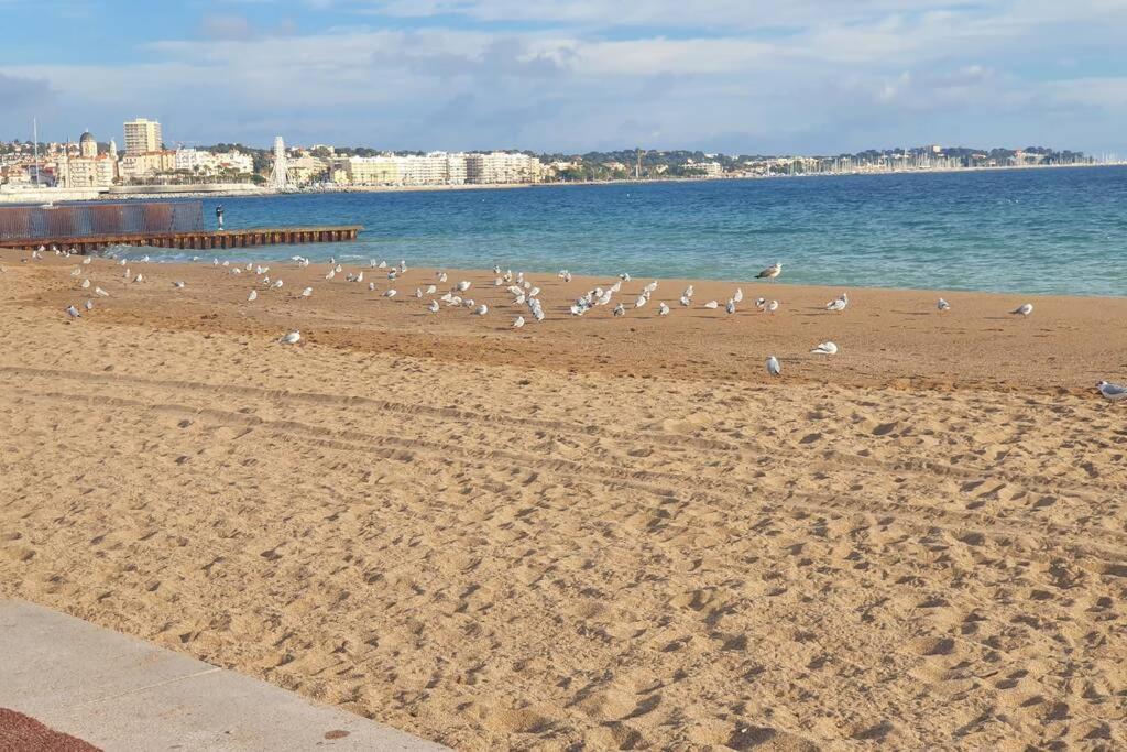 T2 Climatise A 5 Minutes A Pied De La Plage Avec Parking, Piscine Et Wifi Fréjus Εξωτερικό φωτογραφία